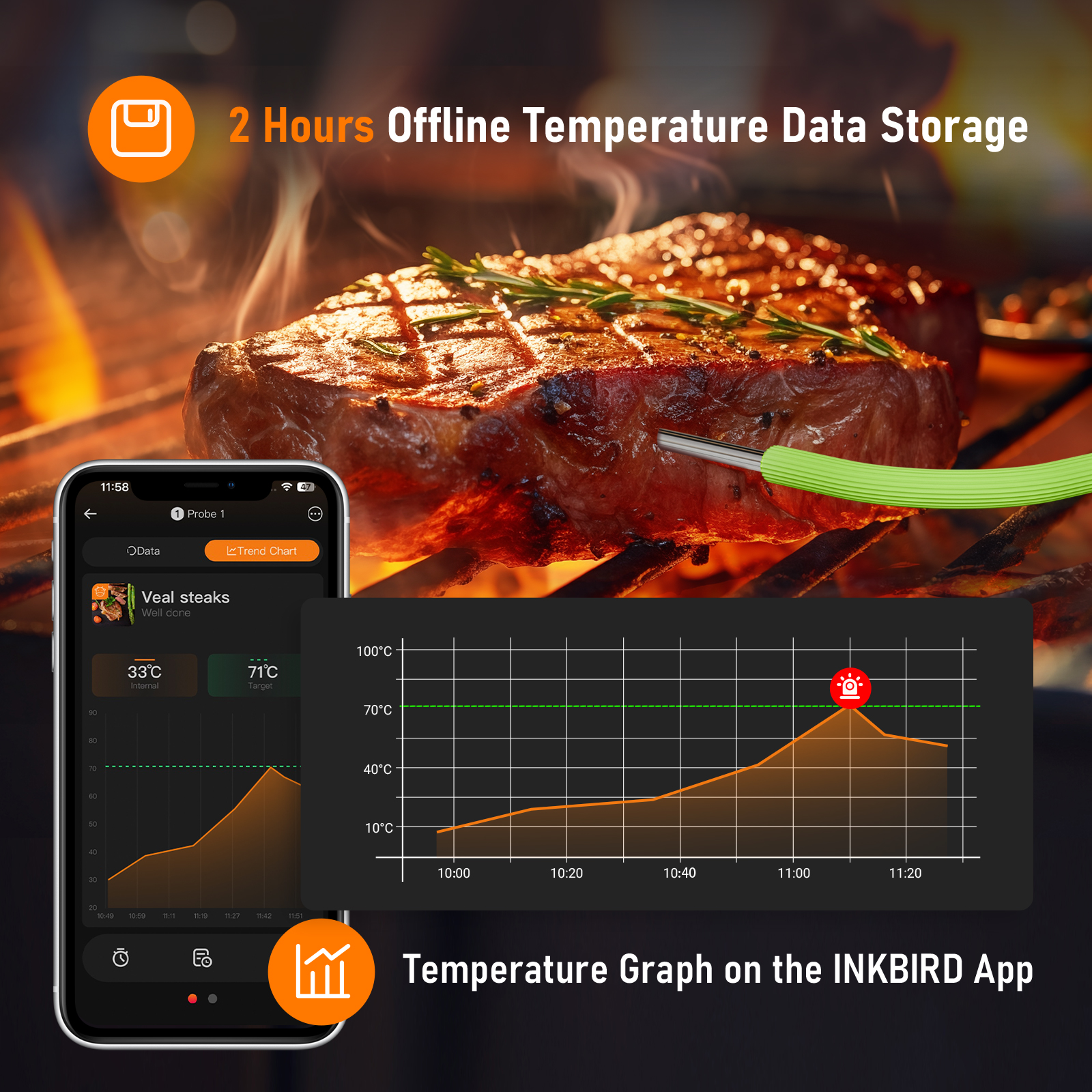 INKBIRD IDT-22-B Smart Bluetoo - Food Storage Temperature 리뷰 및 가격