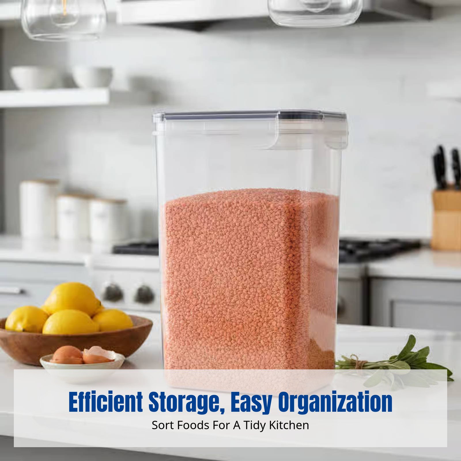 Airtight Food Storage Containe - Food Storage Large Plastic Containers 리뷰 및 가격