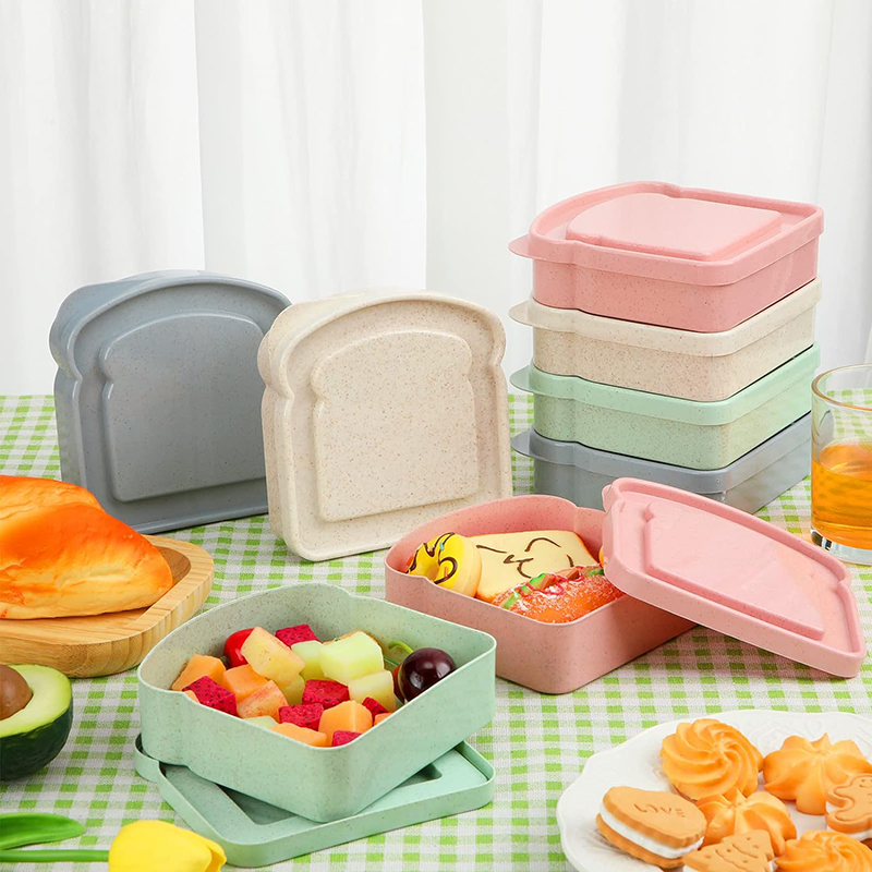 Sandwich Containers Lunch Box  - Food Storage Made Easy 리뷰 및 가격