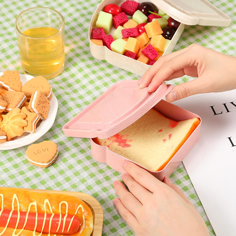 Sandwich Containers Lunch Box  - Food Storage Made Easy 리뷰 및 가격