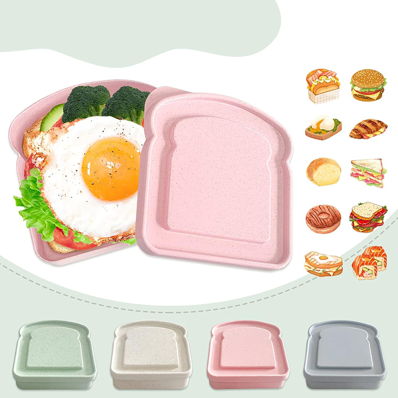 Sandwich Containers Lunch Box  - Food Storage Made Easy 리뷰 및 가격