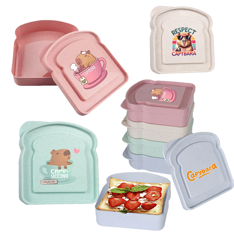 Capybara Sandwich Food Storage - Food Storage Cupboard 리뷰 및 가격