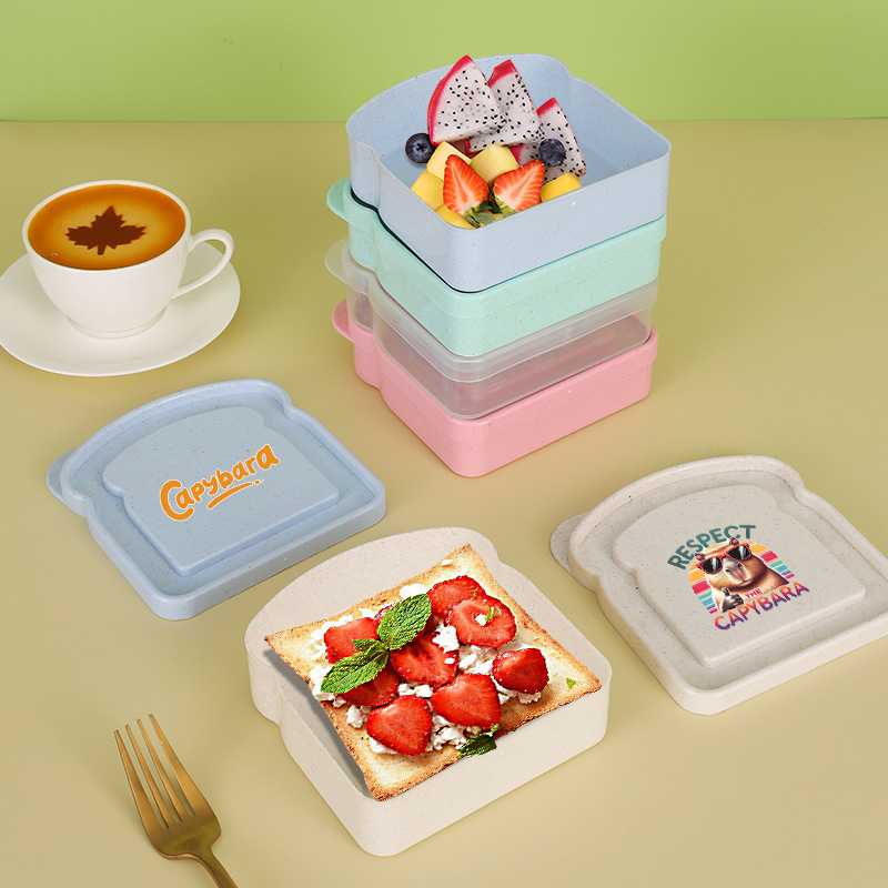 Capybara Sandwich Food Storage - Food Storage Cupboard 리뷰 및 가격