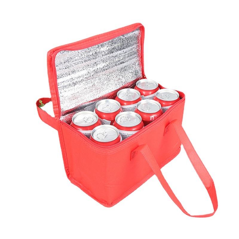 Picnic Bag Large Capacity Stor - Food Storage Bag 리뷰 및 가격