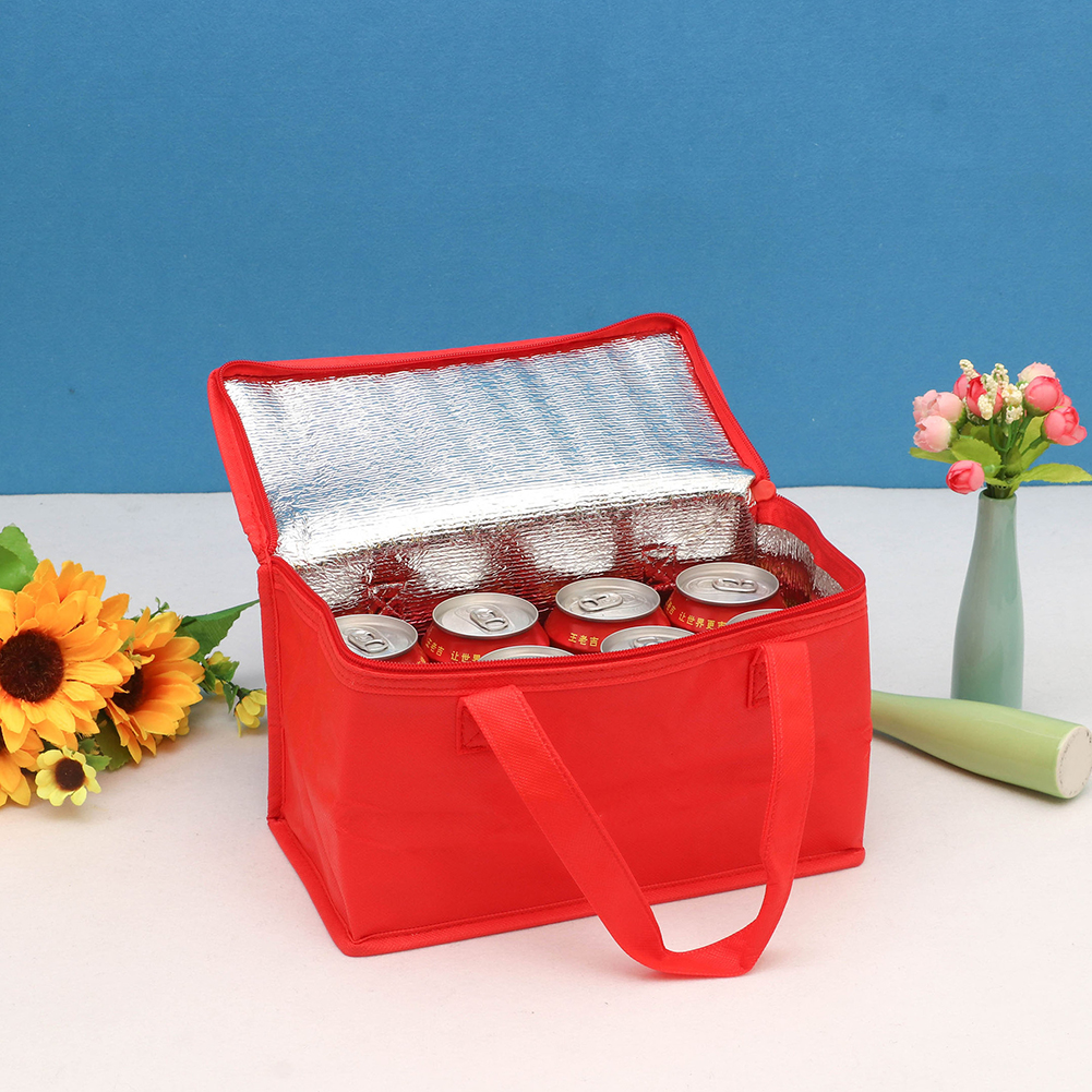 Picnic Bag Large Capacity Stor - Food Storage Bag 리뷰 및 가격