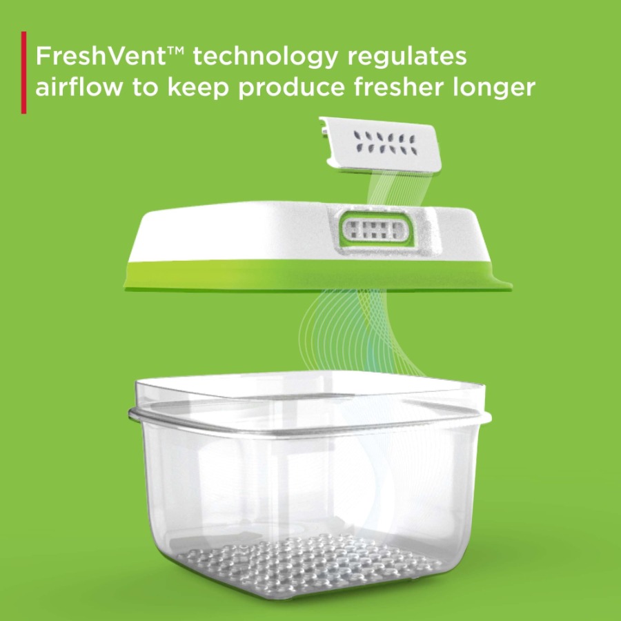 FreshWorks Produce Saver 6 Pie - Food Storage Large Plastic Containers 리뷰 및 가격