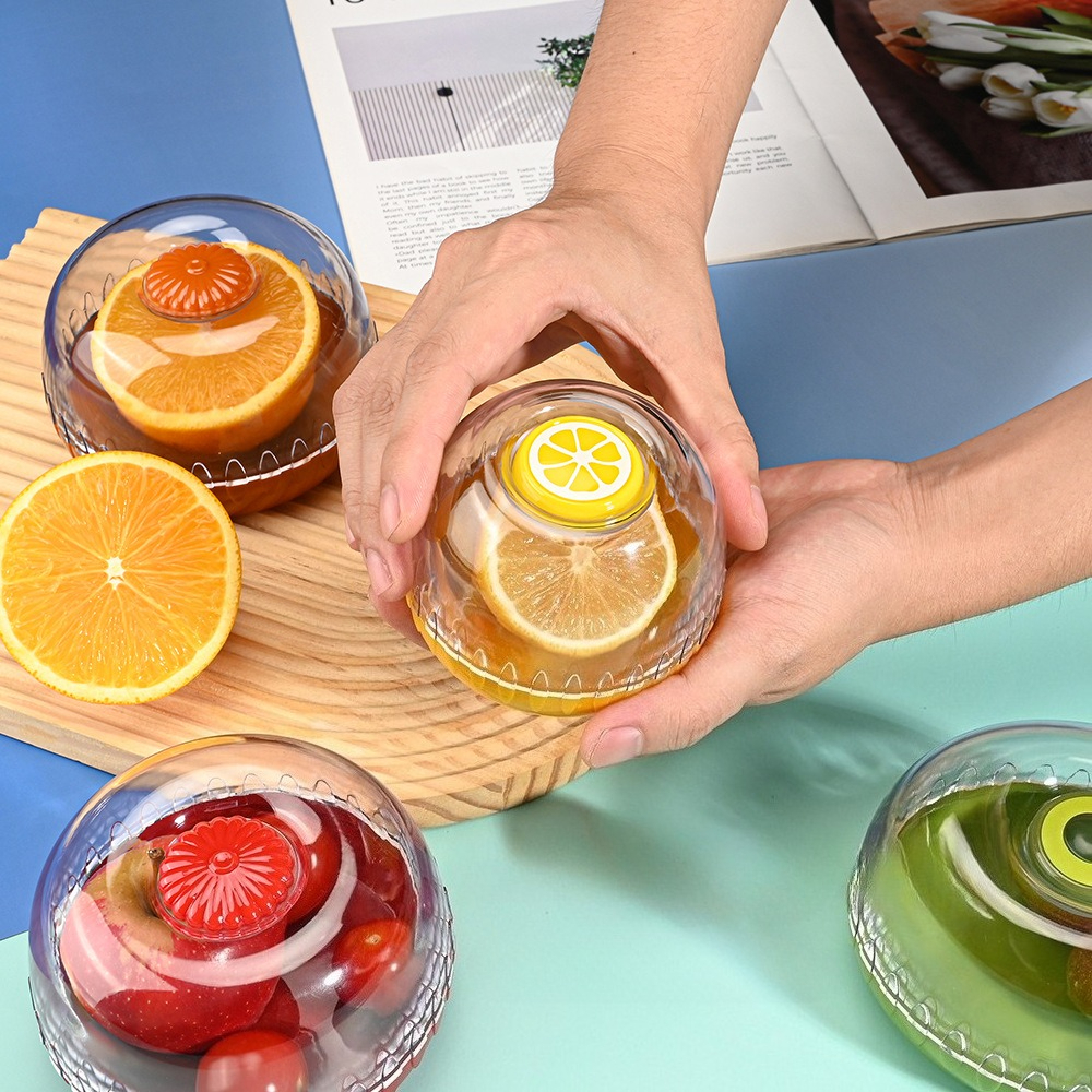 Vegetable Fruits Airtight Cris - Food Storage Vegetables 리뷰 및 가격
