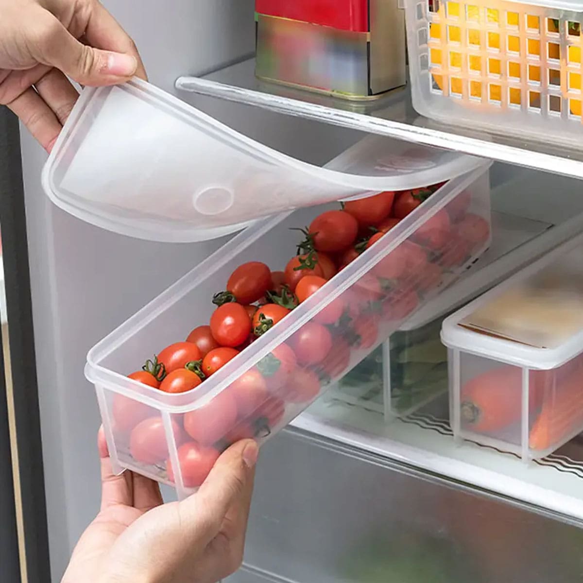 1 Plastic Transparent Storage  - Food Storage Made Easy 리뷰 및 가격