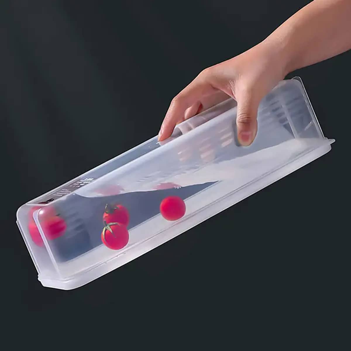 1 Plastic Transparent Storage  - Food Storage Made Easy 리뷰 및 가격